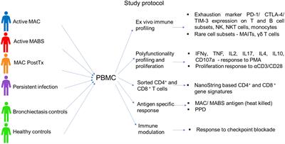 Characterizing and correcting immune dysfunction in non-tuberculous mycobacterial disease